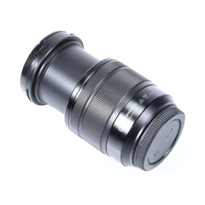 Panasonic G VARIO 12-60mm f/3.5-5.6 ASPH. POWER O.I.S - obrazek 3